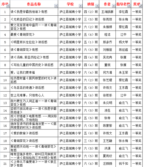 城南小学参加合肥市中小学第十届“暑假读一本好书”读书征文活动获奖结果